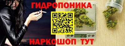 PSILOCYBIN Гусь-Хрустальный