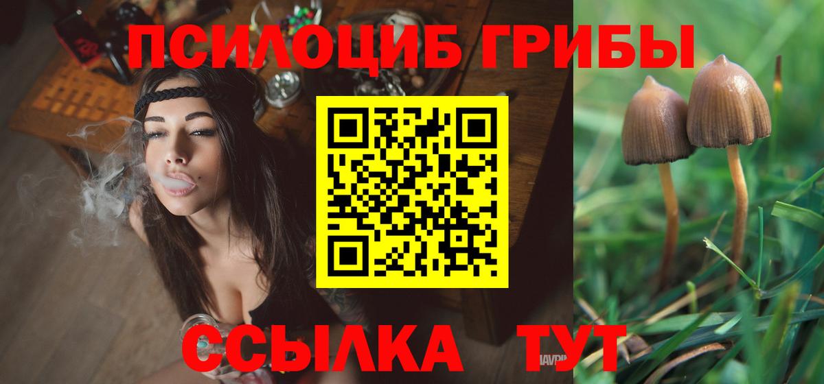 Галлюциногенные грибы мицелий Красноуфимск